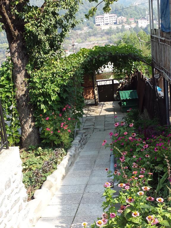 Bacho,S Cottage Borjomi ภายนอก รูปภาพ