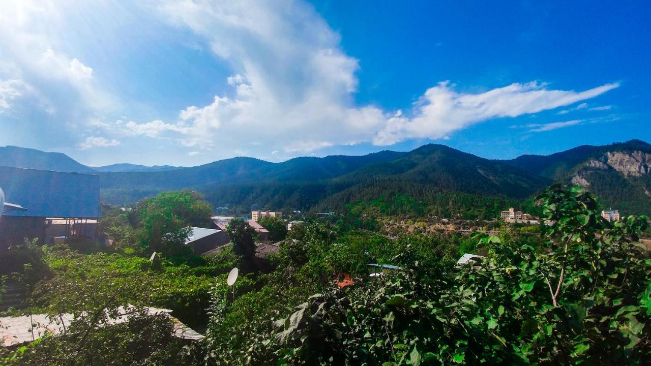 Bacho,S Cottage Borjomi ภายนอก รูปภาพ