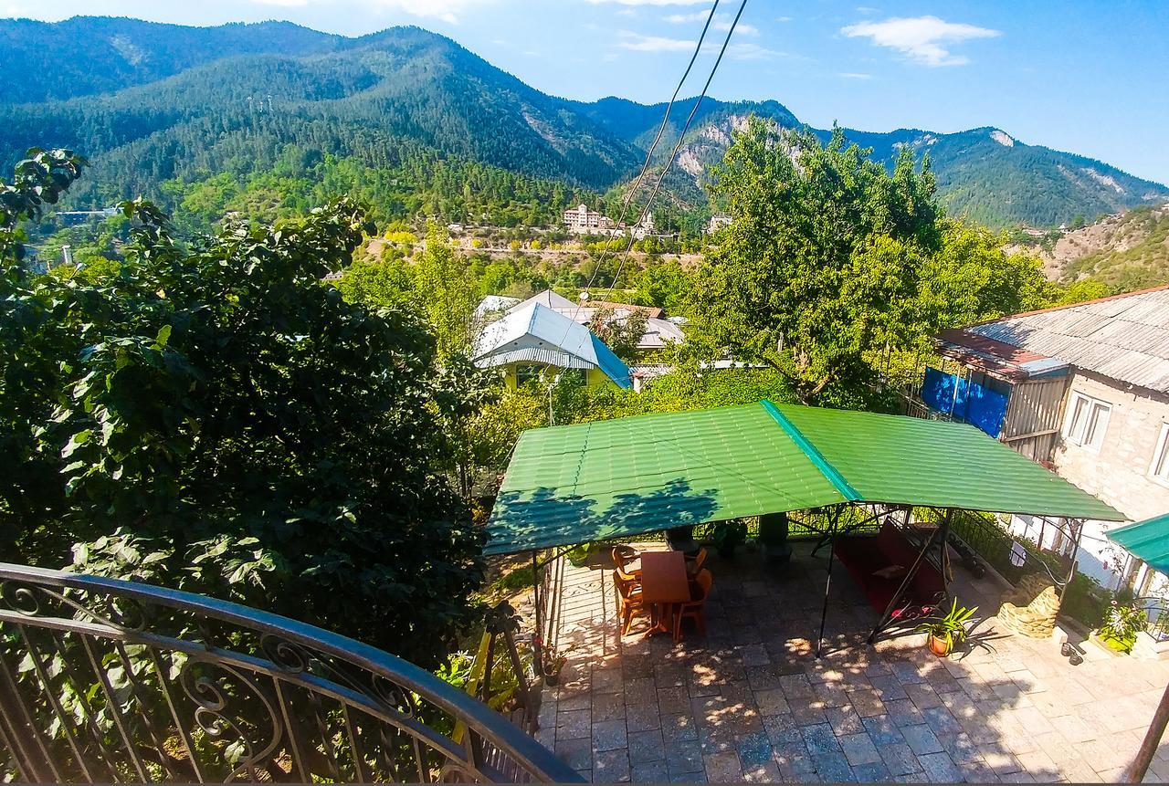 Bacho,S Cottage Borjomi ภายนอก รูปภาพ